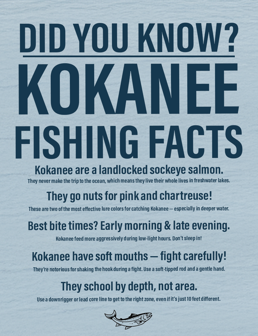 Kokanee Mobile Banner