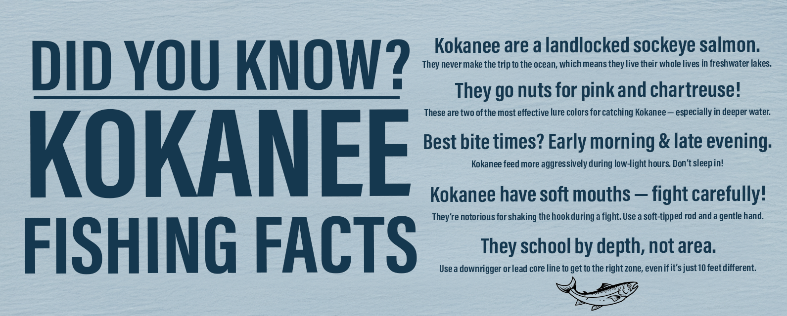 Kokanee Did You Know Banner